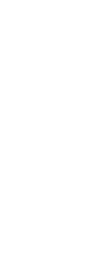 忠诚