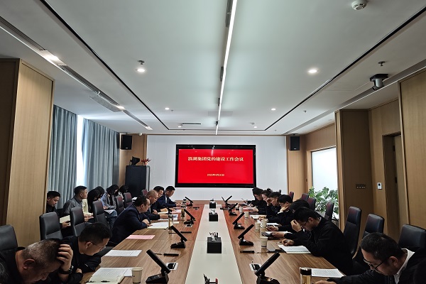 滨湖集团召开2026年党的建设工作会议
